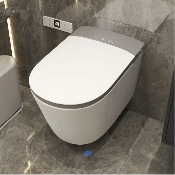 Chinese smart toilet wholesale 5