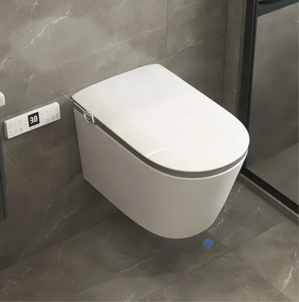 Chinese smart toilet wholesale 6