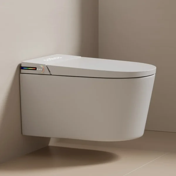 bulk Chinese smart toilet supply 2