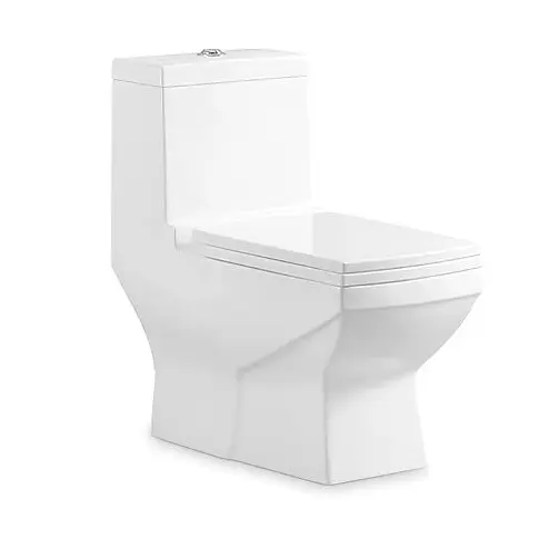 bulk square one-piece toilet supply (1)