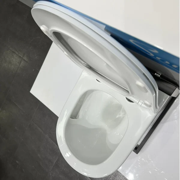 bulk wall-hung toilet factory supply 6