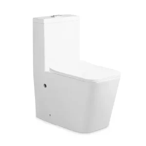 bulk washdown one-piece toilet sh-8869 minimalist square design (1)