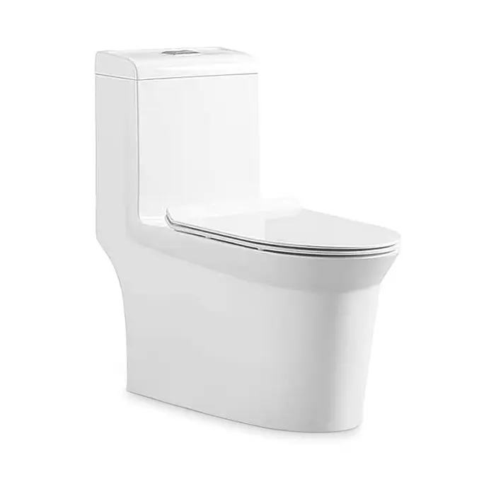 factory-direct washdown one-piece toilet (1)