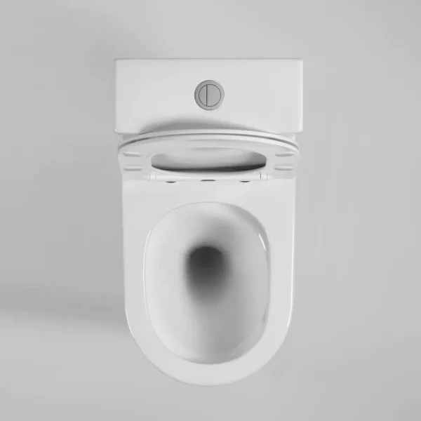 factory-direct wholesale washdown one-piece toilet (4)