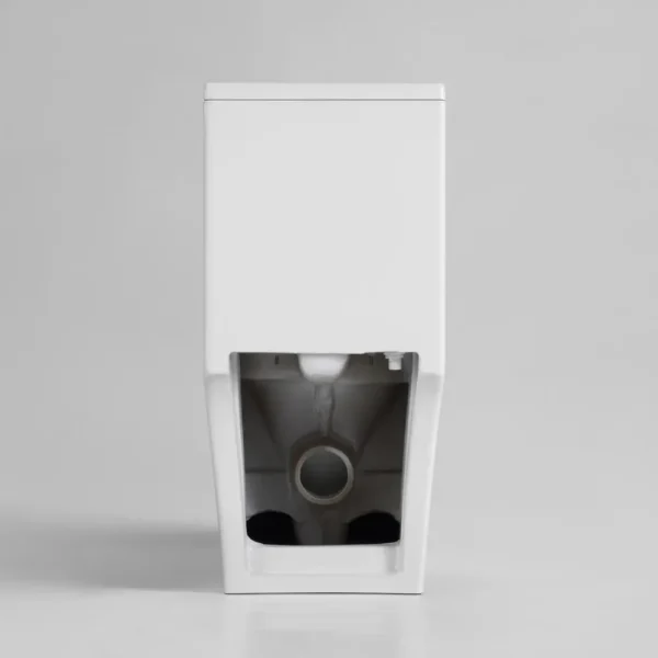 factory-direct wholesale washdown one-piece toilet (5)