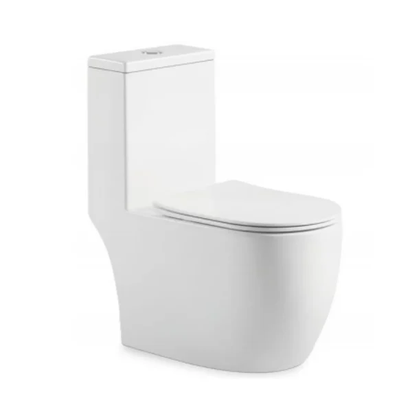 factory direct wholesale washdown one-piece toilet