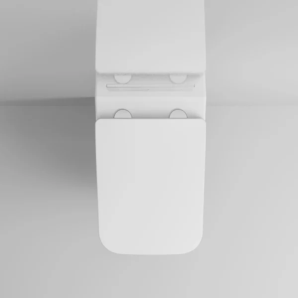 wall hung toilet wholesale 3