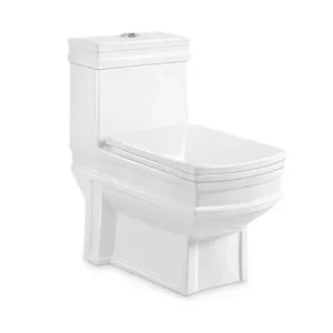 washdown one-piece toilet (1)