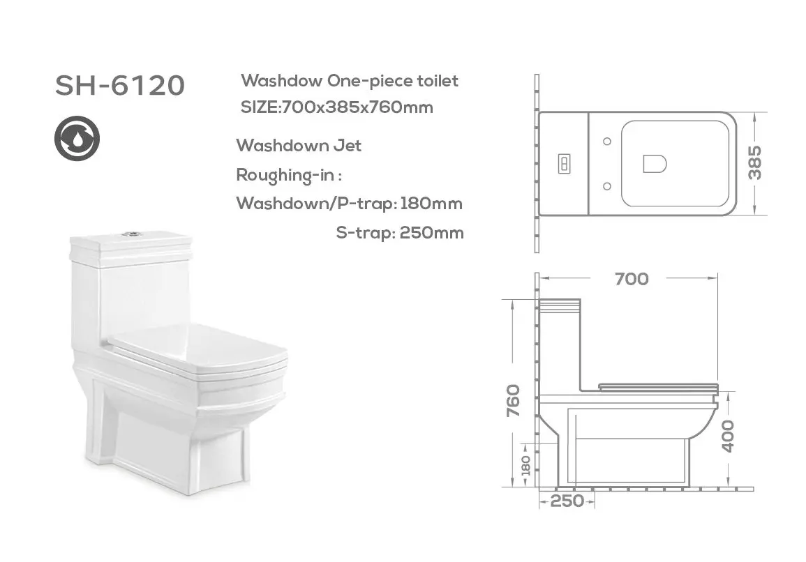 washdown one-piece toilet (2)