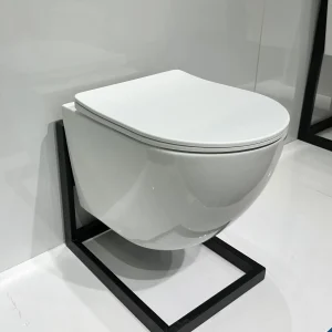 wholesale China wall-hung toilet 3