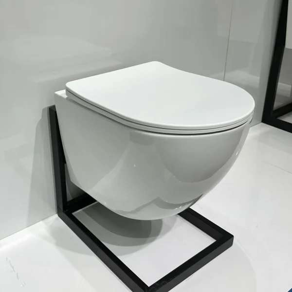 wholesale China wall-hung toilet 3