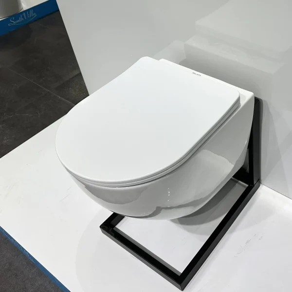 wholesale China wall-hung toilet 4