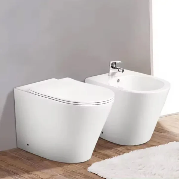 wholesale floor-mounted toilet set (1)