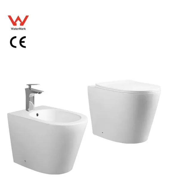 wholesale floor-mounted toilet set (2)