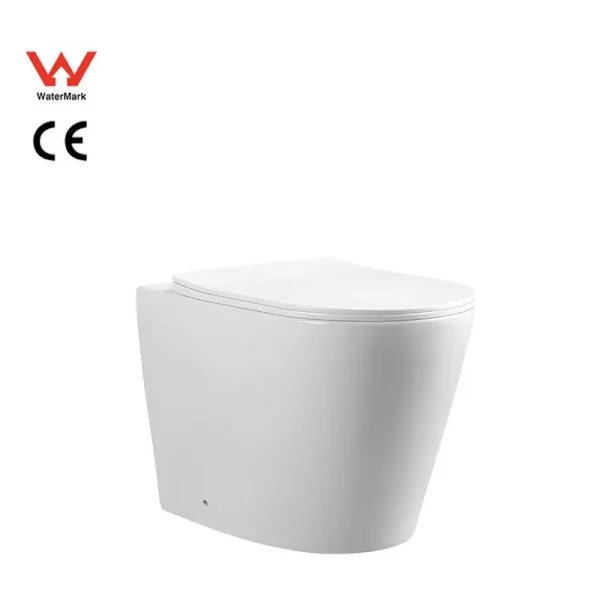 wholesale floor-mounted toilet set (3)