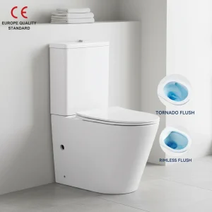 wholesale fully skirted two-piece toilet 5