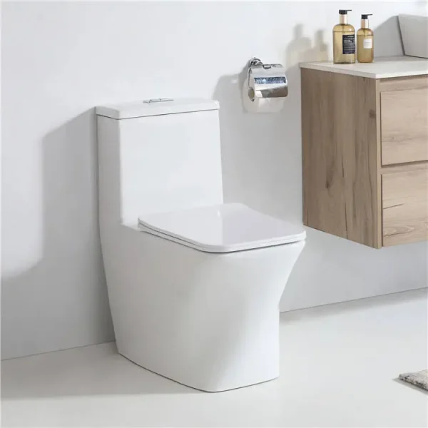 wholesale modern washdown one-piece toilet (2)