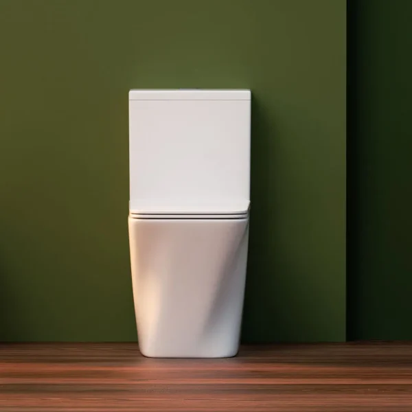 wholesale modern washdown one-piece toilet (3)