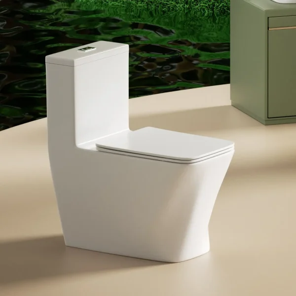 wholesale modern washdown one-piece toilet (4)