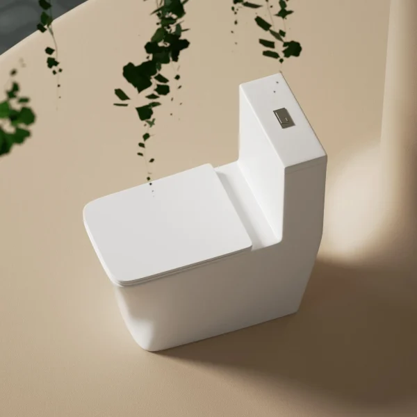 wholesale modern washdown one-piece toilet (5)