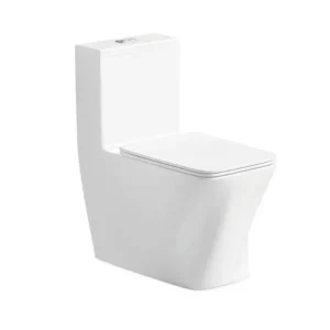 wholesale modern washdown one-piece toilet 6688
