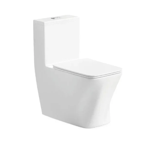 wholesale modern washdown one-piece toilet 6688