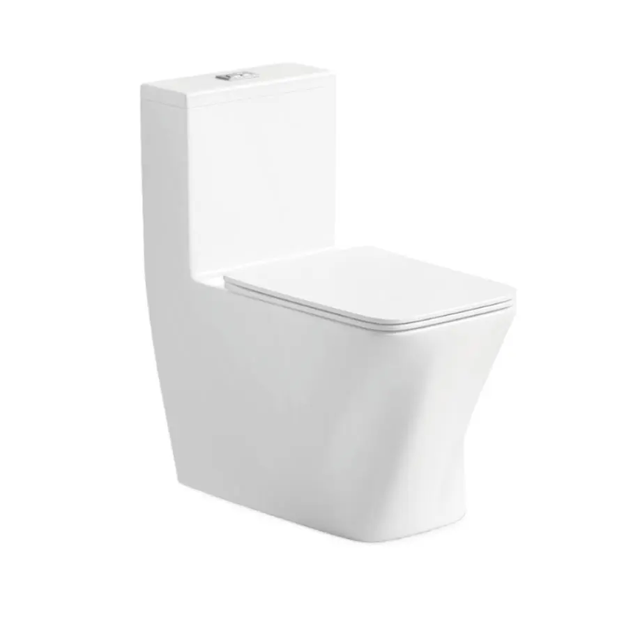 wholesale modern washdown one-piece toilet 6688