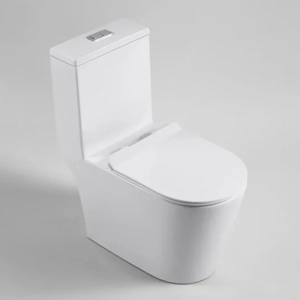 wholesale one-piece toilets (2)