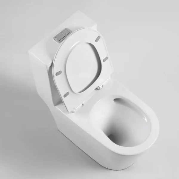 wholesale one-piece toilets (3)