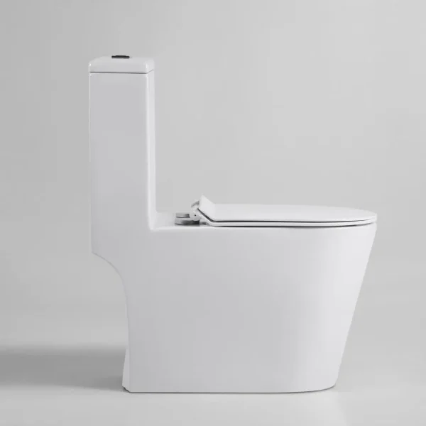 wholesale one-piece toilets (4)