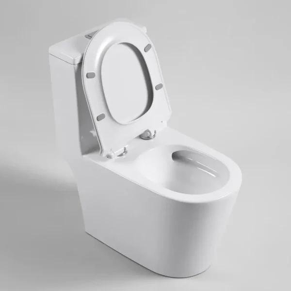 wholesale one-piece toilets (5)