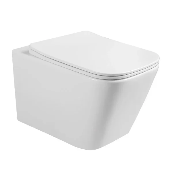 wholesale wall-hung toilet 5