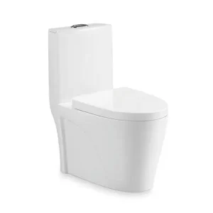 wholesale washdown one‑piece toilet (1)