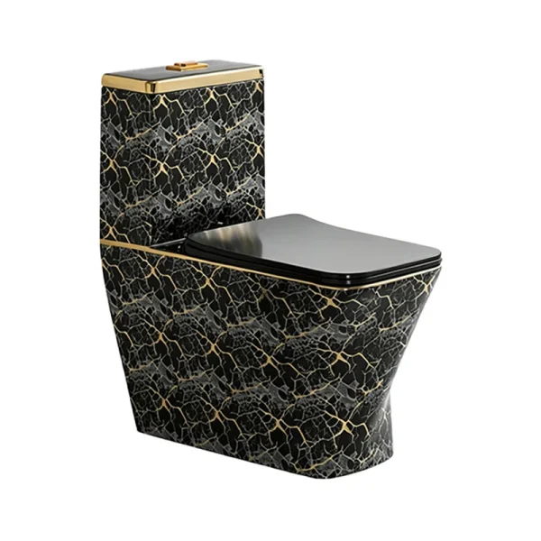 Wholesale-One-Piece-Toilet-SH-6688GD