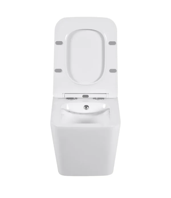 مصنع الجملة للمراحيض المعلقة على الحائط مع بيديت SH-006 - مصنع مراحيض احترافي مع بيديت