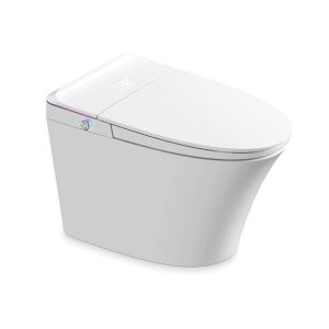 Chinese Smart Toilet SH-901 Wholesale Supply – Washdown Smart Toilet Factory-Direct