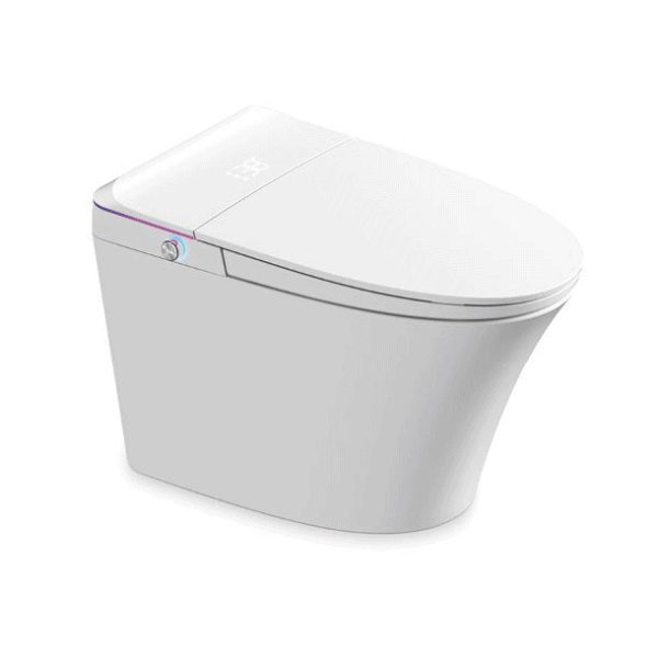 Chinese Smart Toilet SH-901 Wholesale Supply – Washdown Smart Toilet Factory-Direct