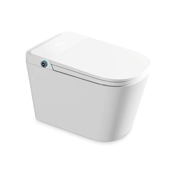 Preferential Smart Toilet SH-905 Wholesale Supply – Washdown Smart Toilet Factory