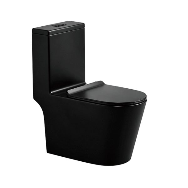 Whashdown Tornado One-Piece Toilets–Matte Black with Soft Closing seat - Singapore STL Water Efficiency Certified