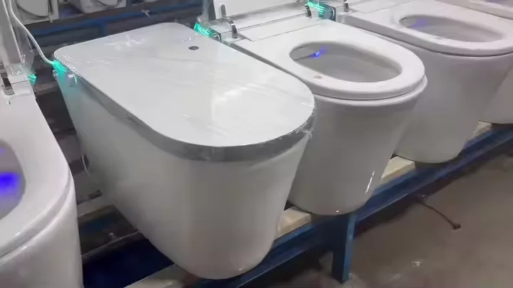 are smart toilets worth it