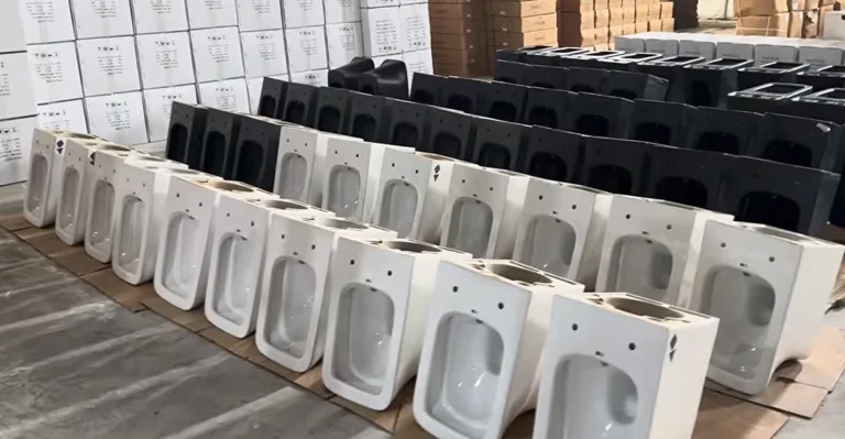 custom toilet with bidet