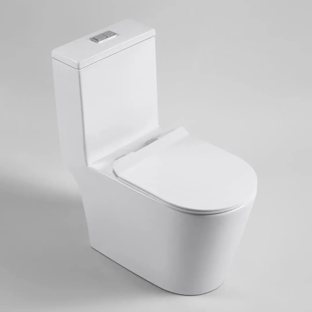 one piece toilet
