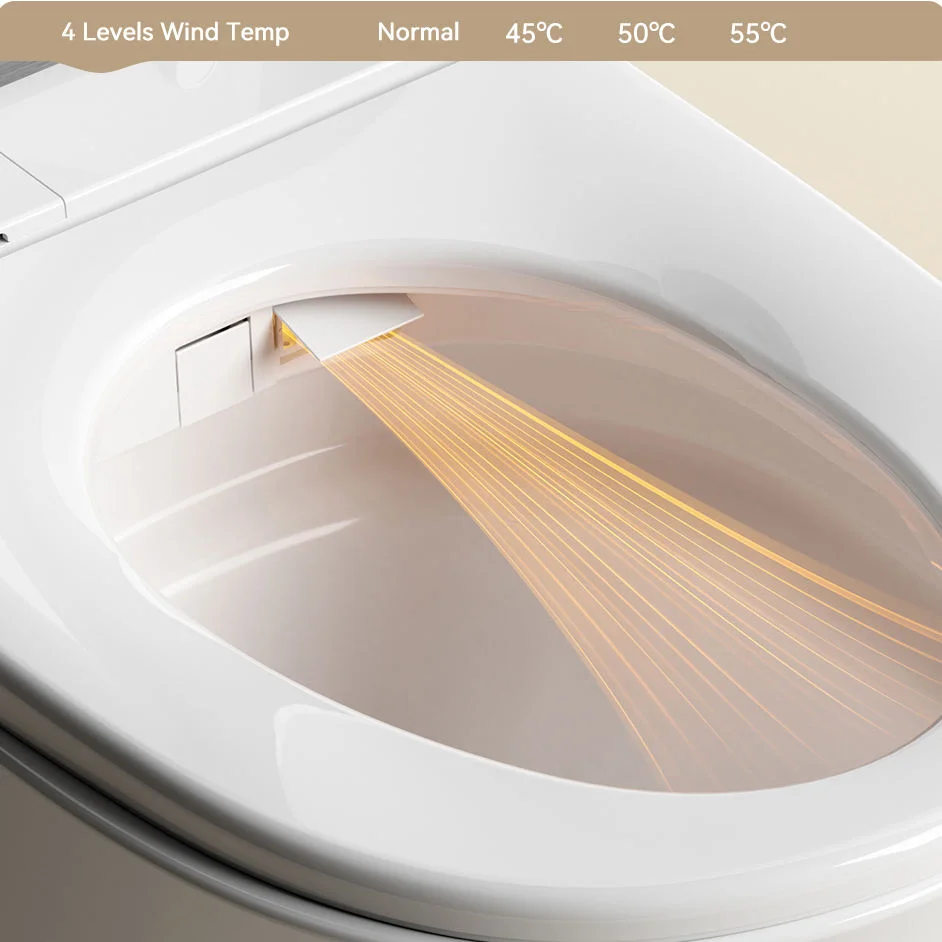 smart toilet warm air drying