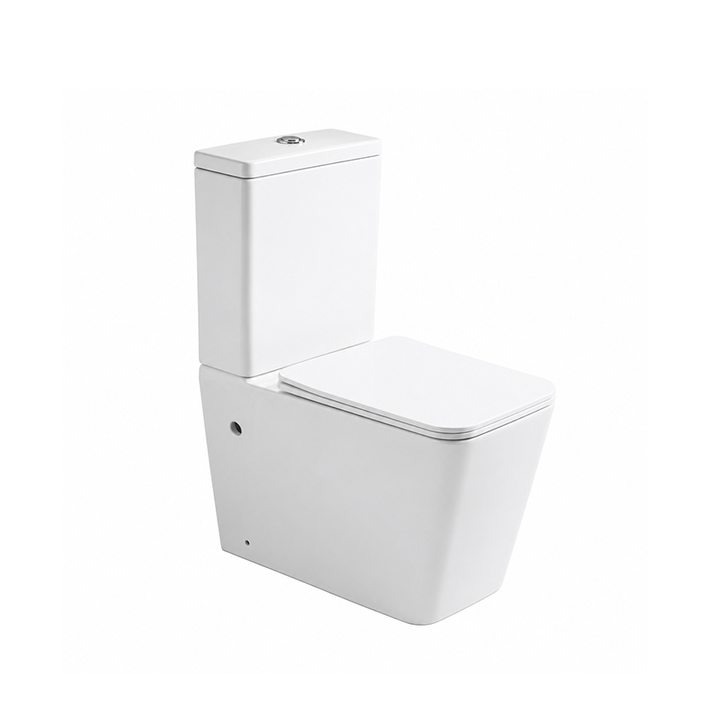 Wholesale Matte White Two-Piece Toilet SH-5105MW