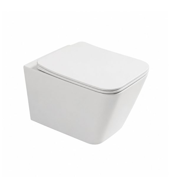 Factory Supply Suspended Toilet, Rimless Wall-hung Toilet SH-006MW – Toilet Manufacturer