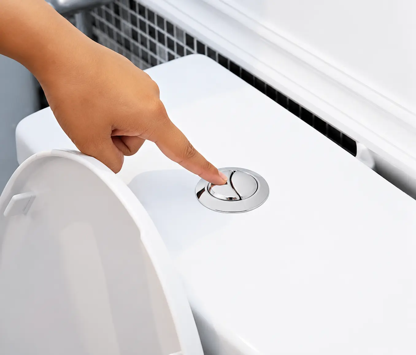 flush button