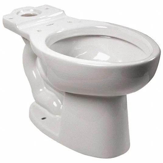 toilet bowl