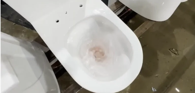 toilet water efficiency test