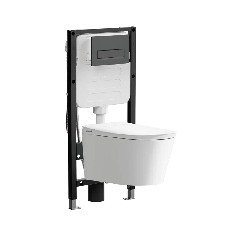 wall-hung toilet and steel support frame