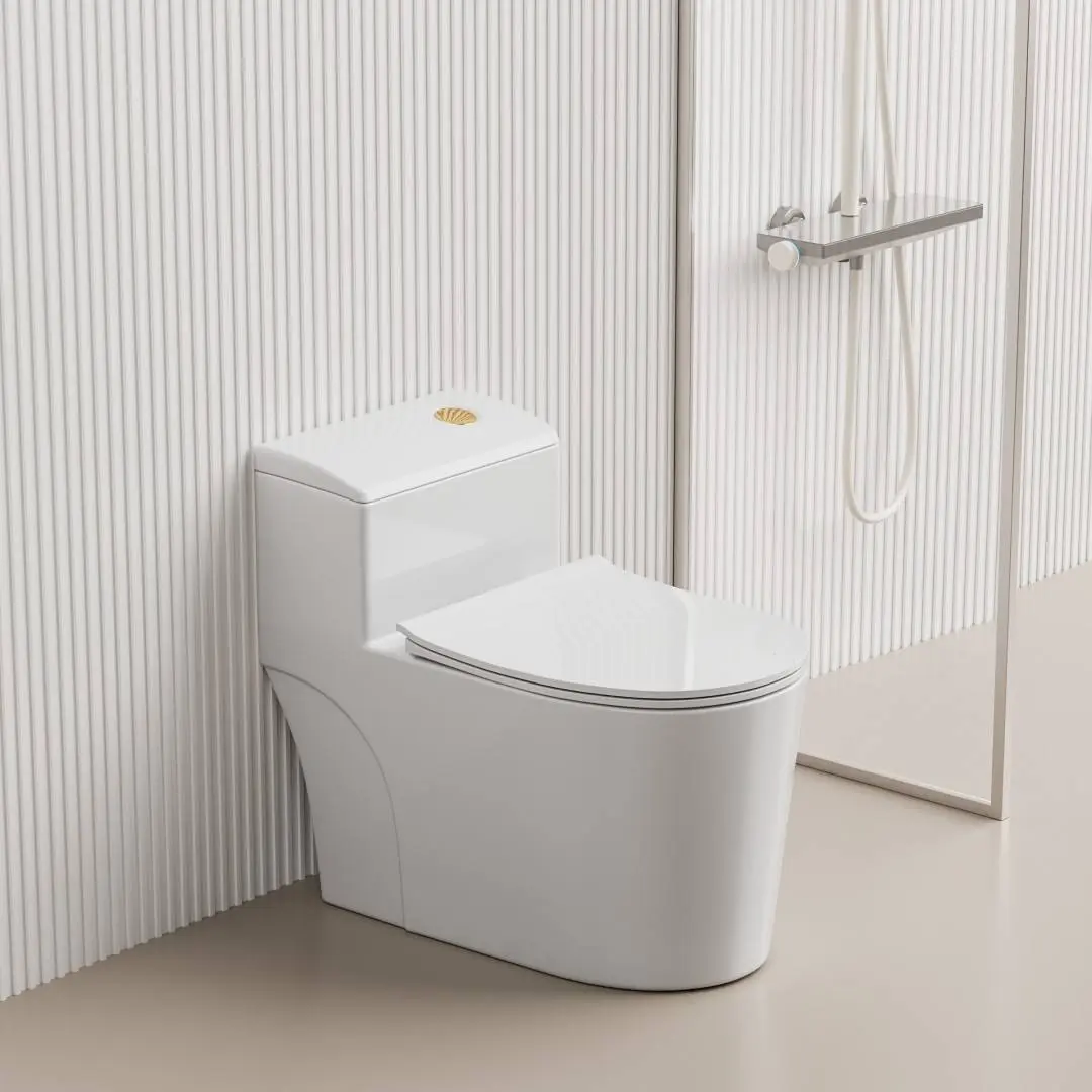 One-Piece Toilet